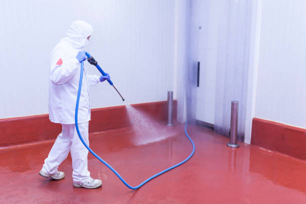 Professional Pressure Washing Services in Glenvar Heights, FL